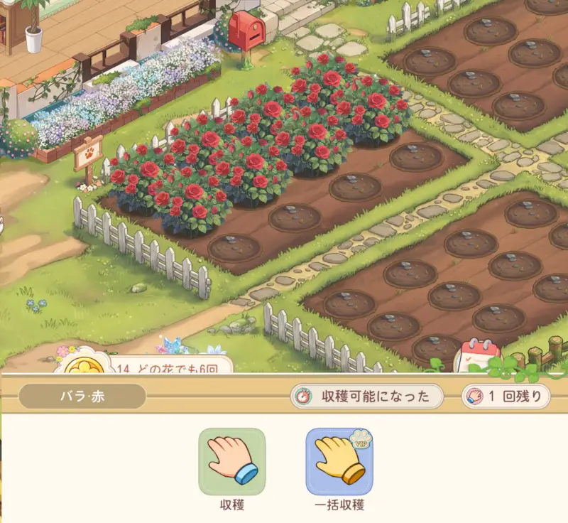 サンシャイン牧場2の花壇